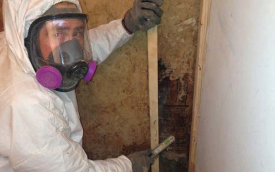 Getting Rid of Mold in Santa Fe NM